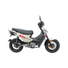 Thumbnail MOTO KENTON BLITZ 125 SPORT BLANC - CHAPA 509ACAP0