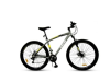 Thumbnail BICI CALOI GTR 29'' SMALL0